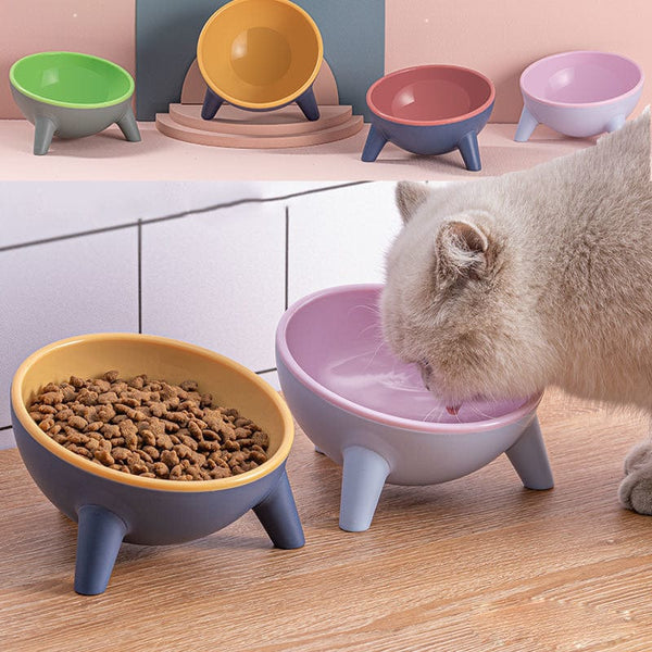 JackedDeals 0 Cat Bowl With Stand