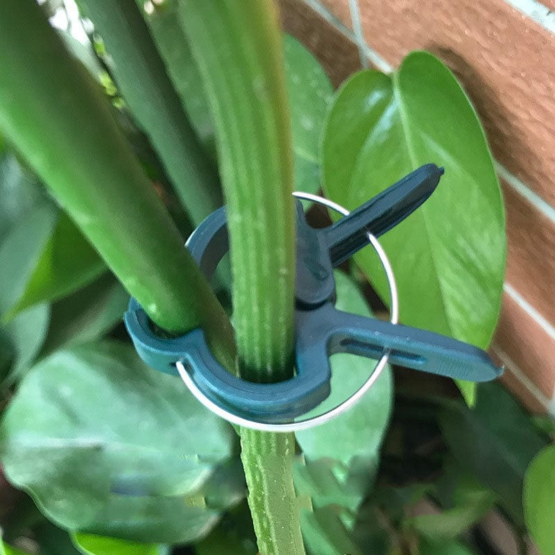 Gardening plant clip - JackedDeals