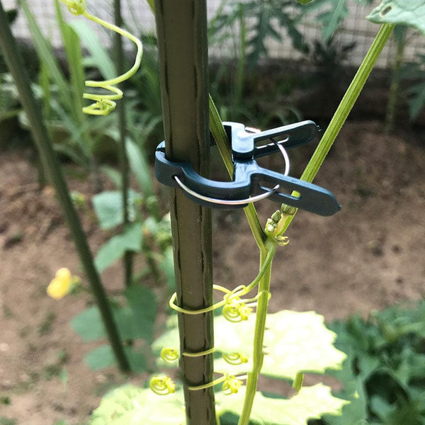 JackedDeals 0 Gardening vegetable fixing clip